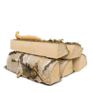 Heizfuxx Brennholz Birke 1 Raummeter – luftgetrocknetes Scheitholz, ca. 500 kg, Scheitlänge ca. 33 cm