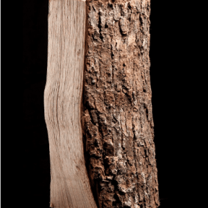 Halbpalette Kaminholz Esche, kammergetrocknet – Scheite 25 cm – 1,02 m³ – hohe Heizleistung